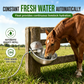 🎁2026 New Arrivals 50% OFF💥 🐄 Automatic 304 Stainless Steel Drinking Bowl with Float and Drain Hole for Cattle Horses Sheep and Dogs 🤖