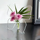 🎁2026 New Arrivals 50% OFF💥Transparent Butterfly-Inspired Decorative Vase