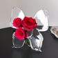 🎁2026 New Arrivals 50% OFF💥Transparent Butterfly-Inspired Decorative Vase
