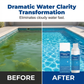 🏊‍♂️💧Swimming Pool Purifying Liquid – Crystal Clear Water, Zero Hassle! 💙