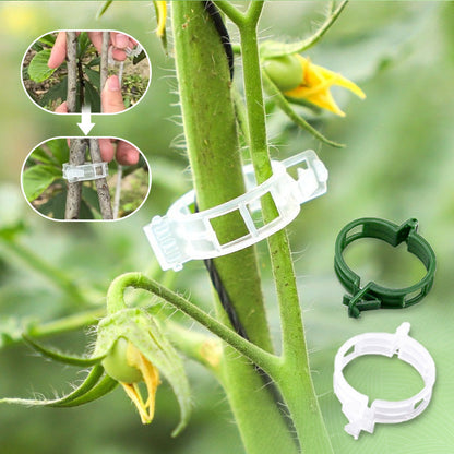 🌱Clips For Climbing Plants – Plastic tomato ties and plant fasteners