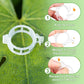 🌱Clips For Climbing Plants – Plastic tomato ties and plant fasteners