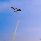 📢📢50% OFF !! ⏰Creative Children's Fishing Rod Kite Toys