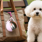 🐕💧 50% OFF! 2-in-1 Portable Dog Water Bottle for Small Dogs – Leak-Proof & Compact