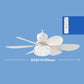 💡2-in-1 Cooling LED Ceiling Fan🌬️