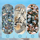 🐚 50% OFF NOW! ✨ Seashell Display Case with Acrylic Panel – Transparent & dustproof – Perfect for collections, crafts or souvenirs – elegant tabletop or shelf display 🏖️🌟