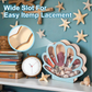 🐚 50% OFF NOW! ✨ Seashell Display Case with Acrylic Panel – Transparent & dustproof – Perfect for collections, crafts or souvenirs – elegant tabletop or shelf display 🏖️🌟