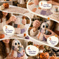 🔥LAST DAY 50% OFF🧵Little Ghost's Cozy Halloween DIY Patchwork Kit