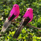 🐦12PCS Artificial Feathered Birds with Clips🌈