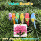 🐦12PCS Artificial Feathered Birds with Clips🌈