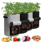 ⏳Limited-time 50% off⏰Large Capacity PE Grow Bags (18L/26L/38L) for Potato, Tomato & Vegetable Gardening🌱🥔