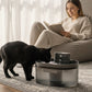 🐾Smart Motion-Sensing Cat Water Fountain