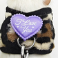 Small Pet Harness and Leash Set