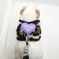 Small Pet Harness and Leash Set