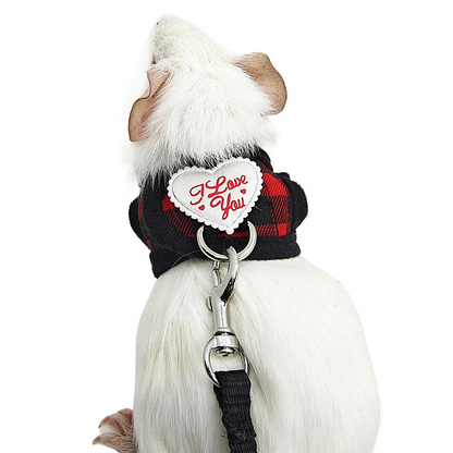 Small Pet Harness and Leash Set