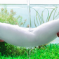 🎉 2026 Sale — Over 25,000 Sold! 💞 Battery-Powered Aquarium Gravel Cleaner & Water Changer