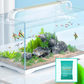 🎉 2026 Sale — Over 25,000 Sold! 💞 Battery-Powered Aquarium Gravel Cleaner & Water Changer