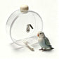 Clear Hanging Bird Drinker with Copper Pin
