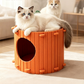 🏠 Cozy Carrot Cat Cave 🏠