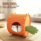 🏠 Cozy Carrot Cat Cave 🏠
