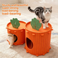 🏠 Cozy Carrot Cat Cave 🏠