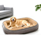 🎁2026 New Arrivals 50% OFF💥All‑Season Ergonomic Comfort Pet Bed – Snug, Breathable, Cozy ✨