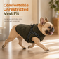 🎁2026 New Arrivals 50% OFF💥Warm Winter Dog Coat with Reflective Strips and Harness for Small and Medium Dogs🐶❄️