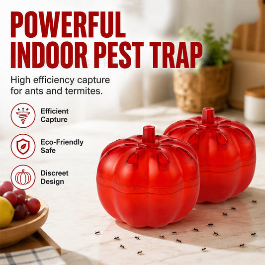 🎁2026 New Arrivals 50% OFF💥Pumpkin Shaped Indoor Fruit Fly Trap – Non-Toxic, Discreet, Effective! ✨ Buy 1 Get 1 Free — Don't Wait for Black Friday! 🎁