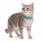 🎁2026 New Arrivals 50% OFF💥Reflective Cat Collar with Waterproof Smart Pet Tracker Locator🐱✨